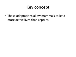 Key concept
• These adaptations allow mammals to lead
  more active lives than reptiles
 