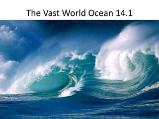 The Vast World Ocean 14.1
 