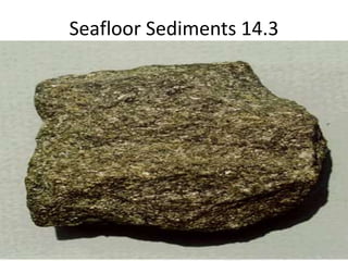 Seafloor Sediments 14.3
 