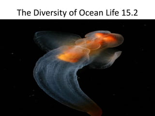 The Diversity of Ocean Life 15.2
 