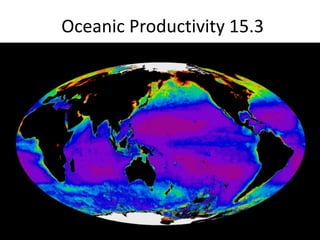 Oceanic Productivity 15.3
 