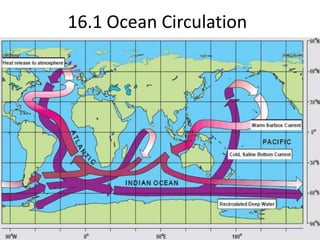 16.1 Ocean Circulation 