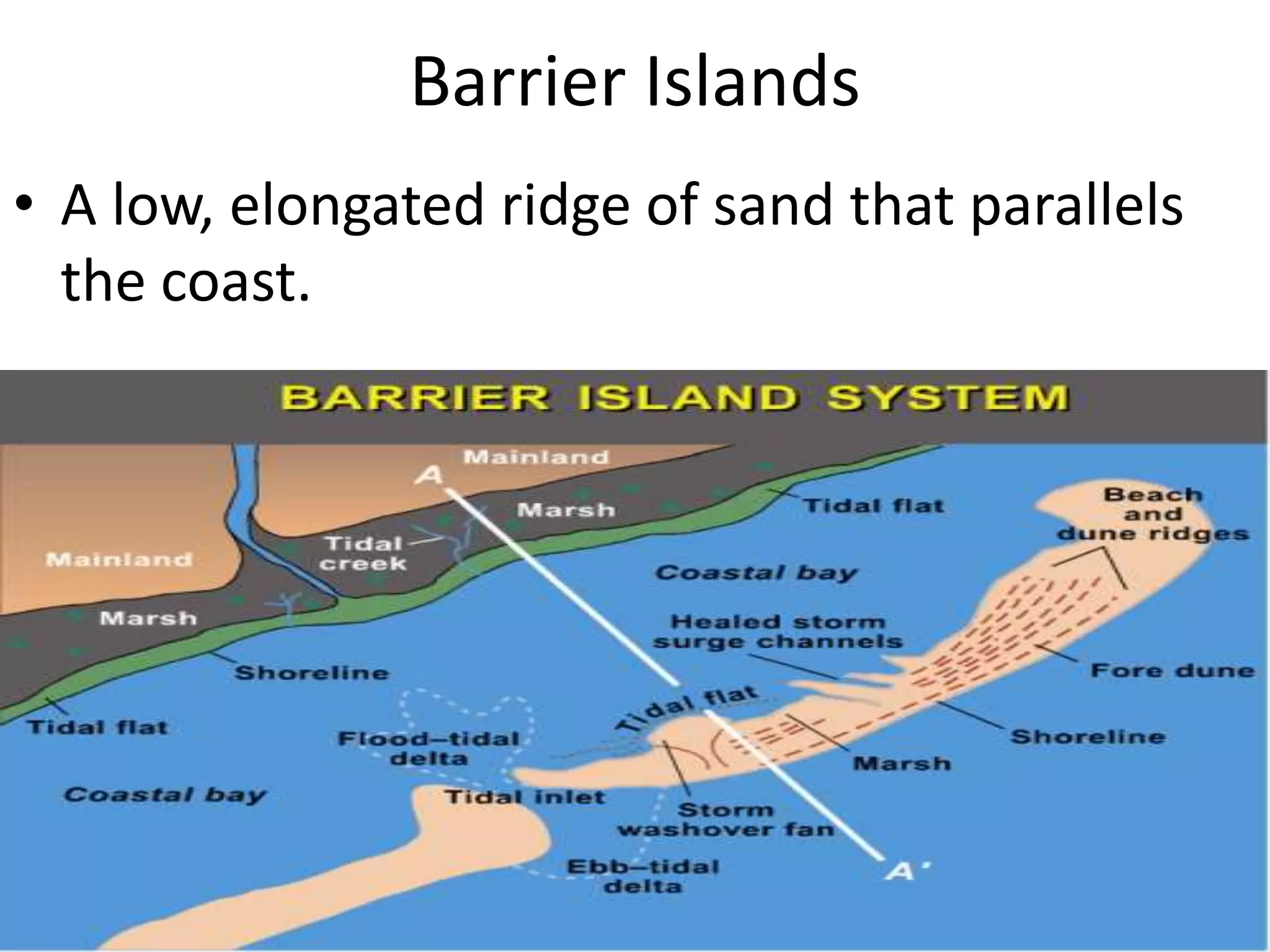 Barrier Islands A low, elongated ridge of sand that parallels the coast.
