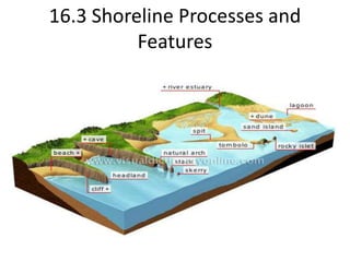 16.3 Shoreline Processes and Features  