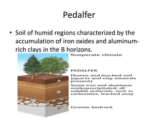 Pedalfer Examples Earth science 5.2 | PPTX