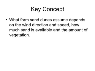 Key Concept What form sand dunes assume depends on the wind direction and speed, how much sand is available and the amount of vegetation.