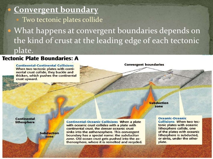 Earth Science 4.3 The Theory of Plate Tectonics