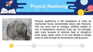 Physical Weathering
03 04
02
01
Physical weathering is the breakdown of rocks by
mechanical forces concentrated along rock fractures.
This can occur due to changes, whether sudden or
not, in temperature, pressure, frost, etc. For example,
soils crack because of extreme heat or drought.in
some cases, water, wind, or ice may abrade or escape
rocks or soils through its tremendous cutting power.
 