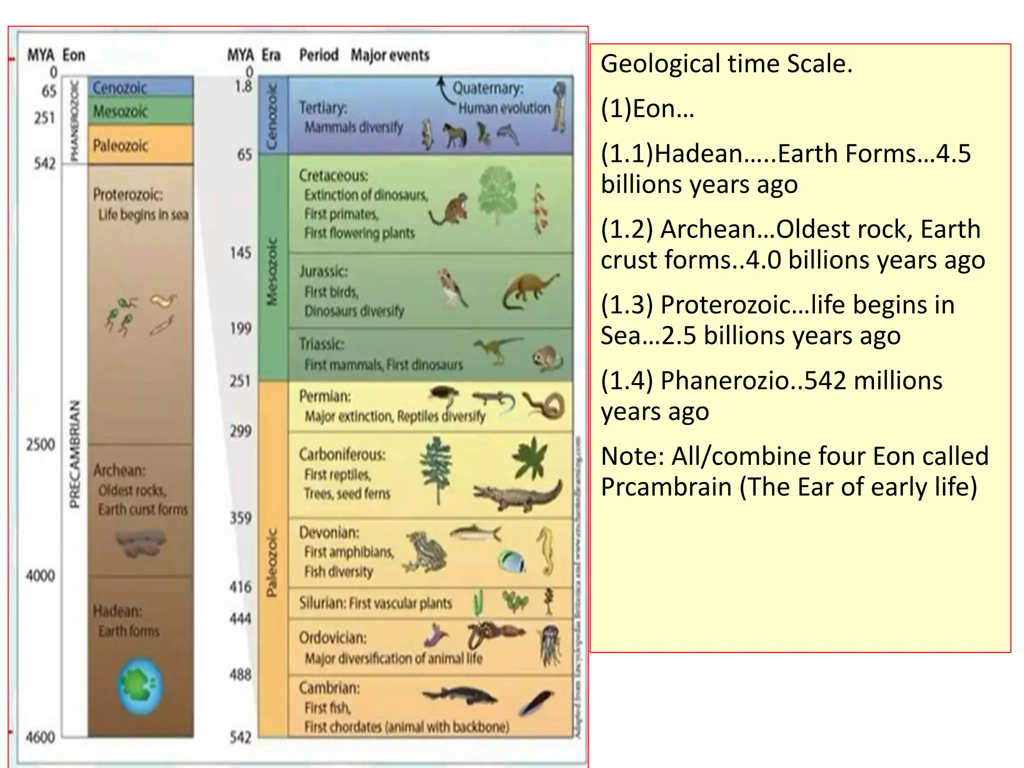Geological time Scale.
(1)Eon…
(1.1)Hadean…..Earth Forms…4.5
billions years ago
(1.2) Archean…Oldest rock, Earth
crust forms..4.0 billions years ago
(1.3) Proterozoic…life begins in
Sea…2.5 billions years ago
(1.4) Phanerozio..542 millions
years ago
Note: All/combine four Eon called
Prcambrain (The Ear of early life)
 