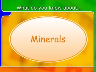 TOPIC 4 What do you know about… Minerals 