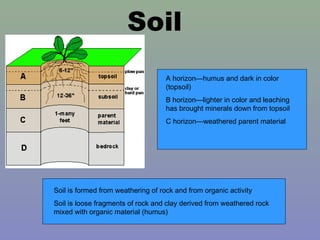 Soil
                                    A horizon—humus and dark in color
                                    (topsoil)
 ...