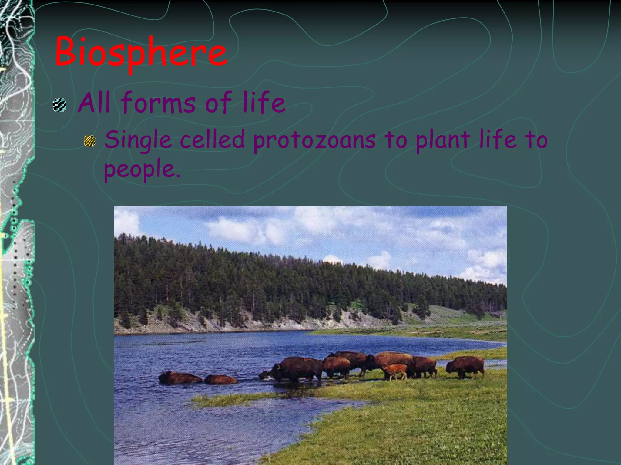 BiosphereAll forms of lifeSingle celled protozoans to plant life to people.