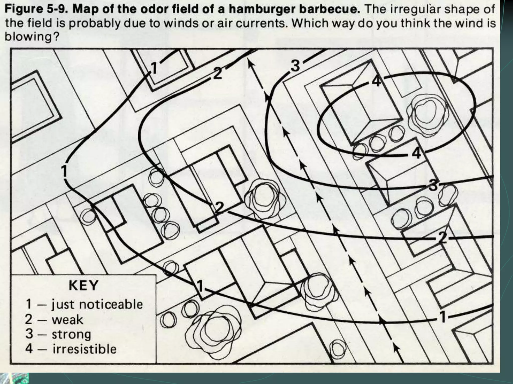 Time ZonesThe Earth rotates from west to east at a rate of 15°/hour.Time zones are divided up by 1hour/15°Travel to the west and the time gets earlier and travel to the east and the time gets later.