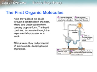 Lesson Overview

Earth’s Early History

The First Organic Molecules
Next, they passed the gases
through a condensation chamber,
where cold water cooled them,
causing drops to form. The liquid
continued to circulate through the
experimental apparatus for a
week.
After a week, they had produced
21 amino acids—building blocks
of proteins.

 