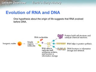 Lesson Overview

Earth’s Early History

Evolution of RNA and DNA
One hypothesis about the origin of life suggests that RNA evolved
before DNA.

 