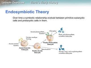 Lesson Overview

Earth’s Early History

Endosymbiotic Theory
Over time a symbiotic relationship evolved between primitive eukaryotic
cells and prokaryotic cells in them.

 