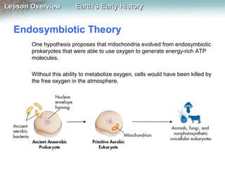 Lesson Overview

Earth’s Early History

Endosymbiotic Theory
One hypothesis proposes that mitochondria evolved from endosymbiotic
prokaryotes that were able to use oxygen to generate energy-rich ATP
molecules.
Without this ability to metabolize oxygen, cells would have been killed by
the free oxygen in the atmosphere.

 