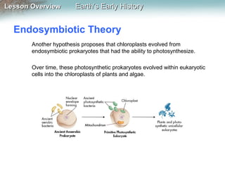 Lesson Overview

Earth’s Early History

Endosymbiotic Theory
Another hypothesis proposes that chloroplasts evolved from
endosymbiotic prokaryotes that had the ability to photosynthesize.
Over time, these photosynthetic prokaryotes evolved within eukaryotic
cells into the chloroplasts of plants and algae.

 