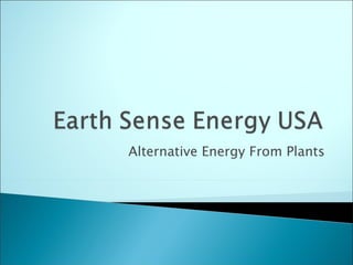Alternative Energy From Plants 