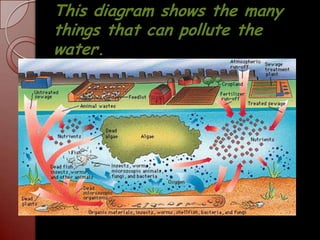 This diagram shows the many things that can pollute the water.