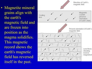 • Magnetite mineral
grains align with
the earth's
magnetic field and
are frozen into
position as the
magma solidifies.
This magnetic
record shows the
earth's magnetic
field has reversed
itself in the past.
 