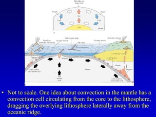 • Not to scale. One idea about convection in the mantle has a
convection cell circulating from the core to the lithosphere,
dragging the overlying lithosphere laterally away from the
oceanic ridge.
 