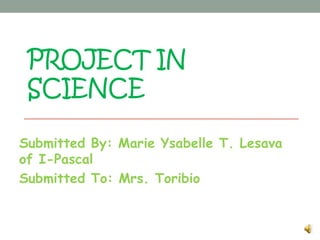 PROJECT IN
 SCIENCE

Submitted By: Marie Ysabelle T. Lesava
of I-Pascal
Submitted To: Mrs. Toribio
 