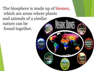 The biosphere is made up of biomes,
which are areas where plants
and animals of a similar
nature can be
found together.
 