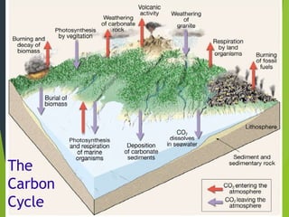 The Earth and its Subsystems-Hydrosphere, atmosphere and etc.pptx