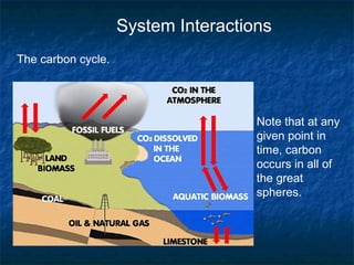 System Interactions
The carbon cycle.
Note that at any
given point in
time, carbon
occurs in all of
the great
spheres.
 
