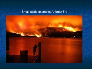 Small-scale example: A forest fire
 
