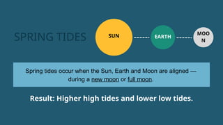 Spring Tide Causes Understanding Tides: Causes, Cycles, and Effects on Coastal Life | PPTX