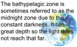 The bathypelagic zone is
sometimes referred to as the
midnight zone due to the
constant darkness. It has
great depth so the light does
not reach that far.
 