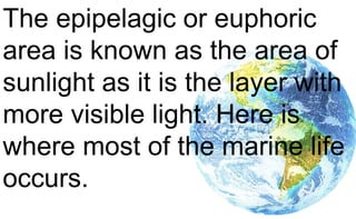 The epipelagic or euphoric
area is known as the area of
sunlight as it is the layer with
more visible light. Here is
where most of the marine life
occurs.
 
