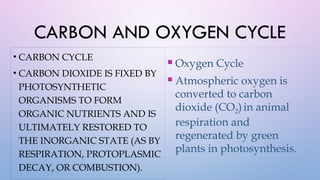earth subsystem.pptx powerpoint presentation | PPTX