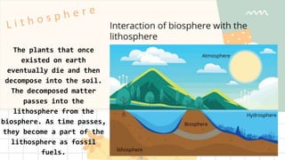 The plants that once
existed on earth
eventually die and then
decompose into the soil.
The decomposed matter
passes into the
lithosphere from the
biosphere. As time passes,
they become a part of the
lithosphere as fossil
fuels.
 