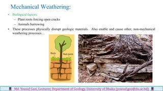 Earth surface processes md. yousuf gazi | PDF