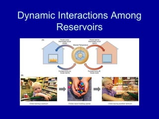 Dynamic Interactions Among 
Reservoirs 
 