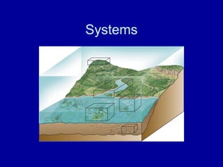 Systems 
 
