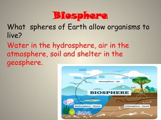 Biosphere
What spheres of Earth allow organisms to
live?
Water in the hydrosphere, air in the
atmosphere, soil and shelter in the
geosphere.
 