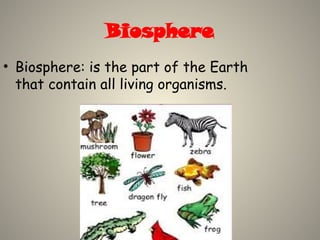 Biosphere
• Biosphere: is the part of the Earth
that contain all living organisms.
 