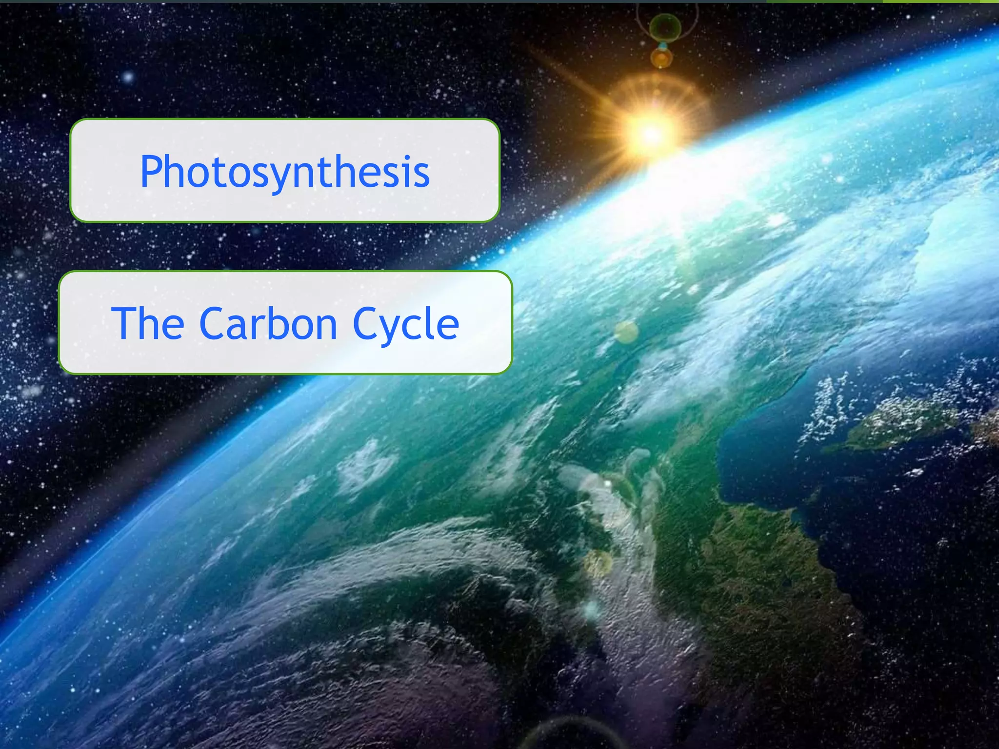 Photosynthesis
The Carbon Cycle
 