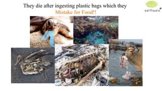They die after ingesting plastic bags which they
Mistake for Food!!

 