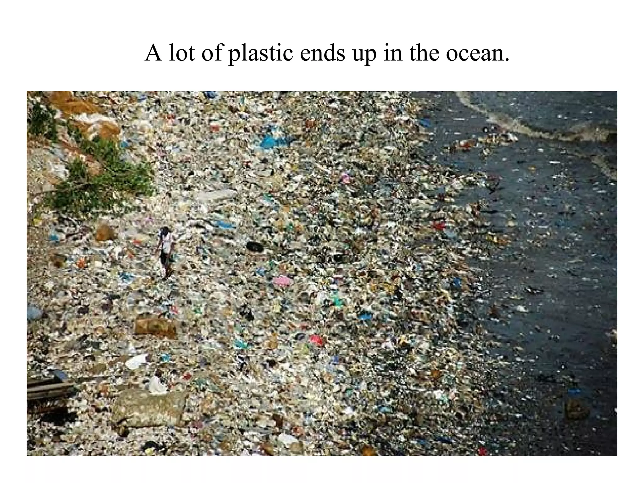 A lot of plastic ends up in the ocean.
 