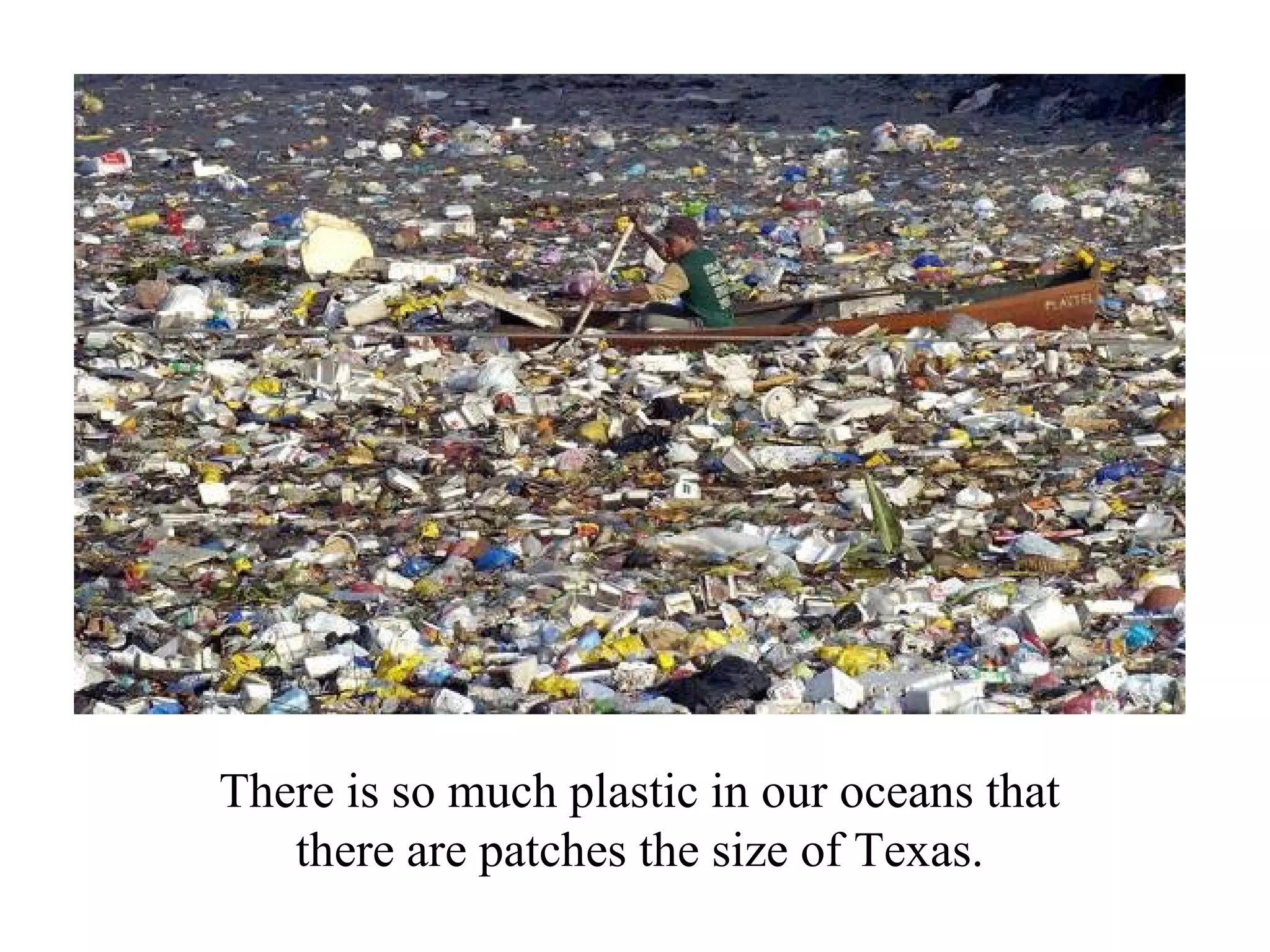 There is so much plastic in our oceans that
   there are patches the size of Texas.
 