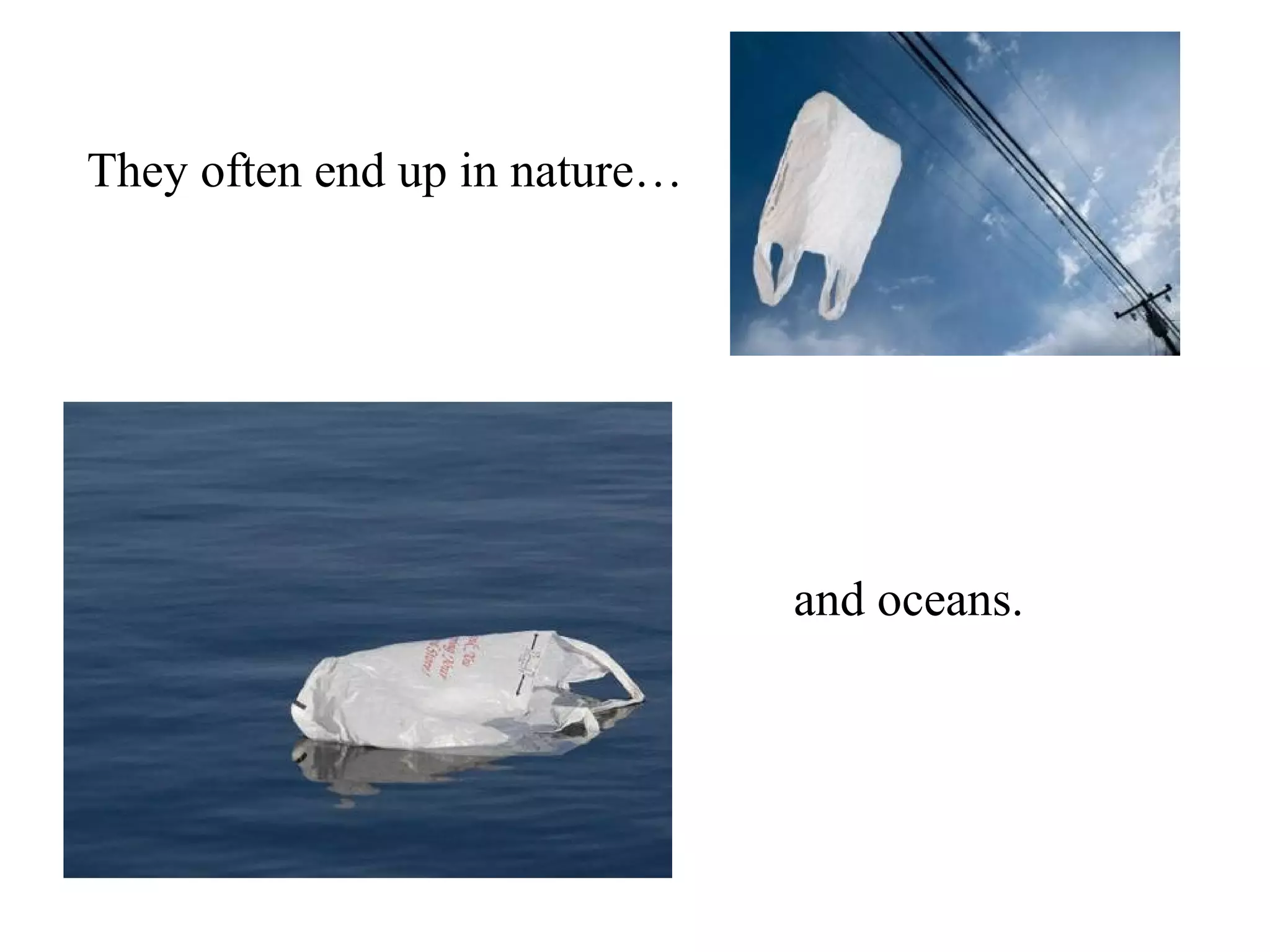 They often end up in nature…




                               and oceans.
 
