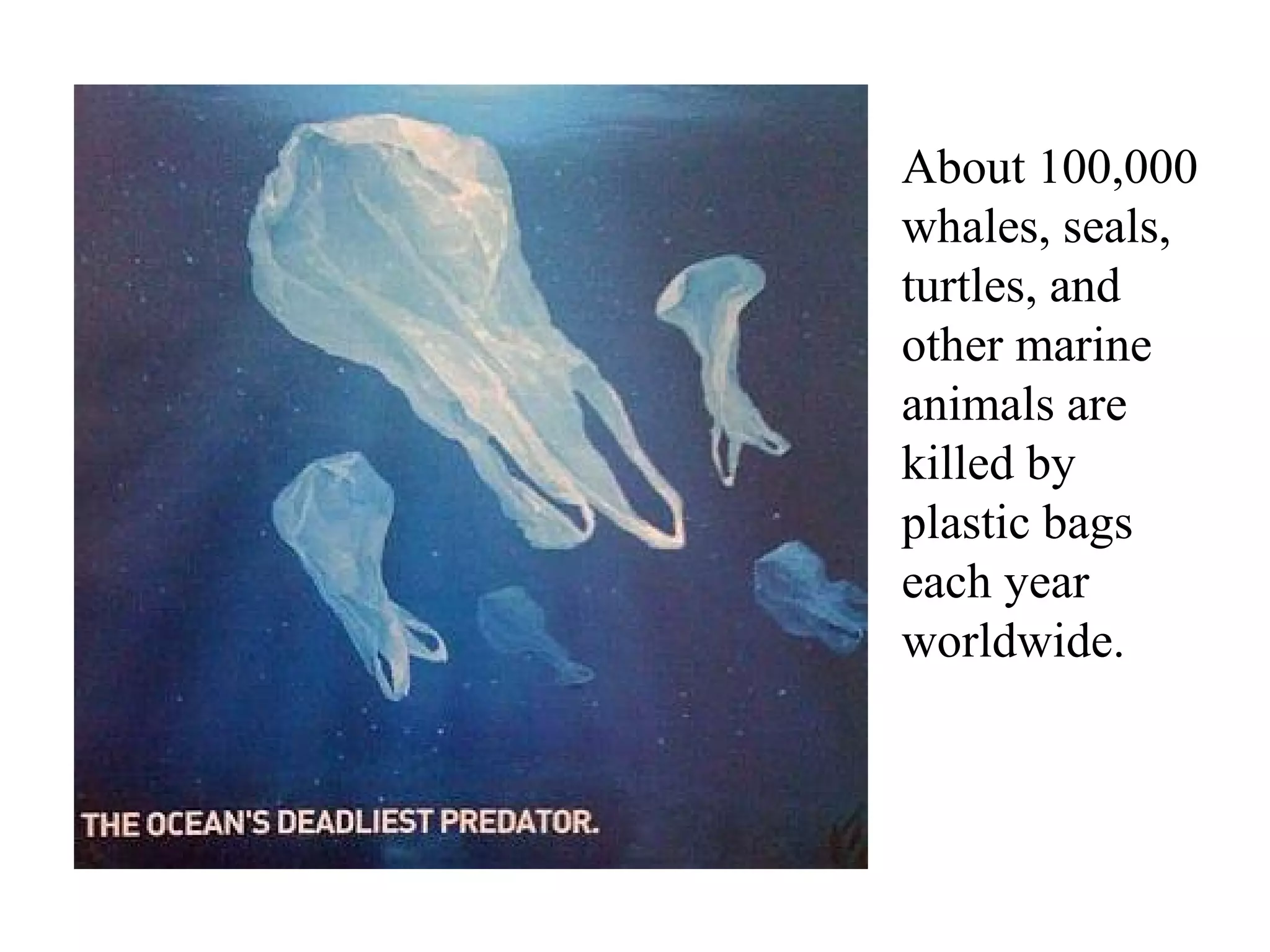About 100,000
whales, seals,
turtles, and
other marine
animals are
killed by
plastic bags
each year
worldwide.
 