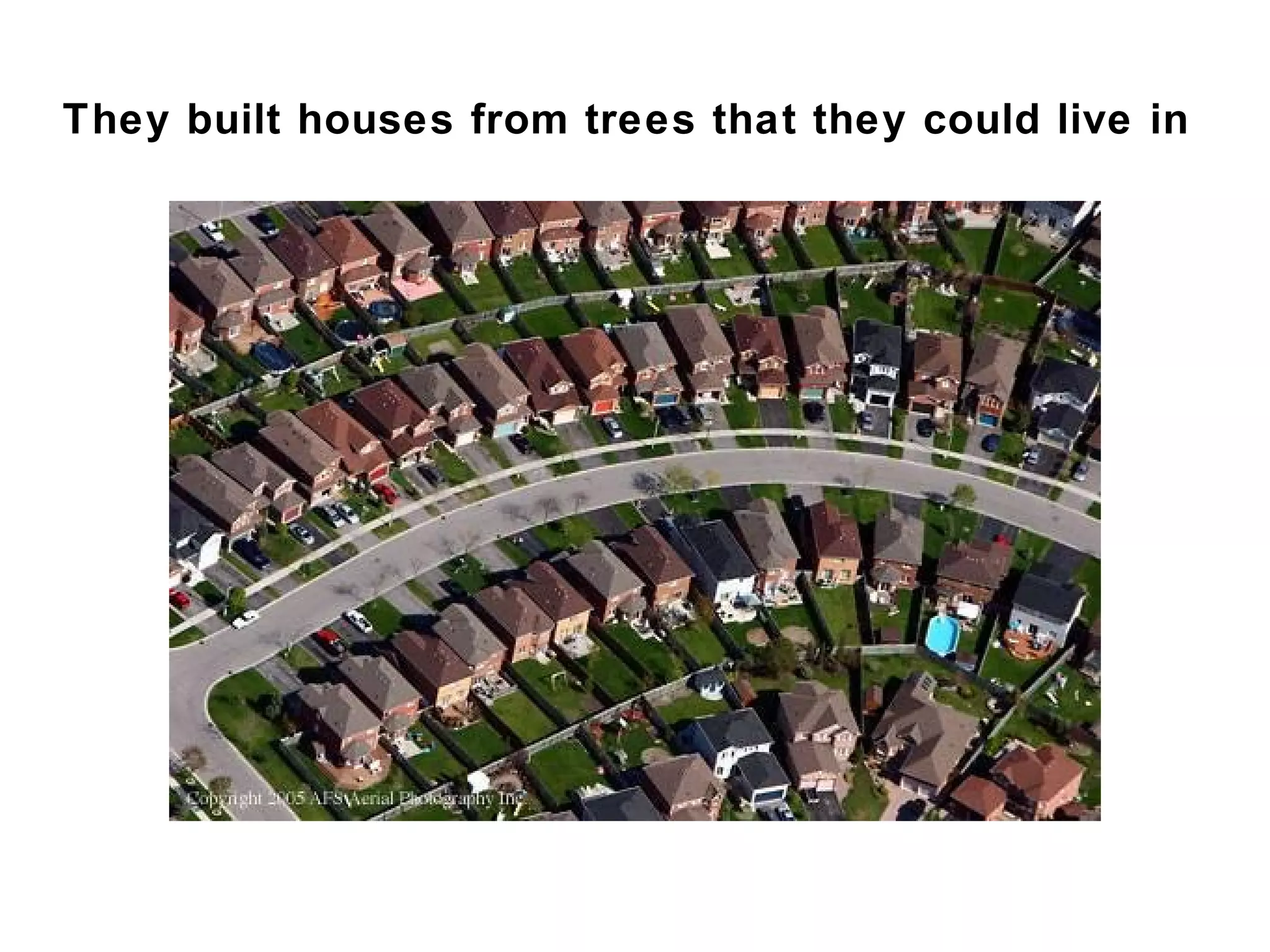 They built houses from trees that they could live in
 