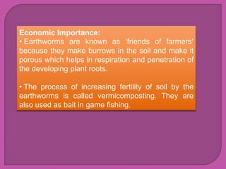 Economic Importance:
• Earthworms are known as ‘friends of farmers’
because they make burrows in the soil and make it
porous which helps in respiration and penetration of
the developing plant roots.

• The process of increasing fertility of soil by the
earthworms is called vermicomposting. They are
also used as bait in game fishing.
 