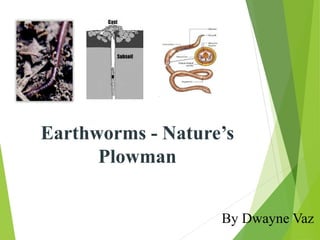Earthworms - Nature’s
Plowman
By Dwayne Vaz
 